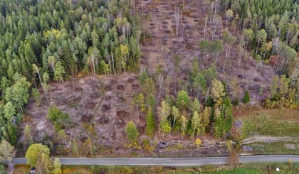 Illustrerad karta över fastigheten eller området