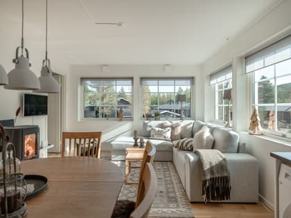 Stafettvägen 10C, Hundfjället