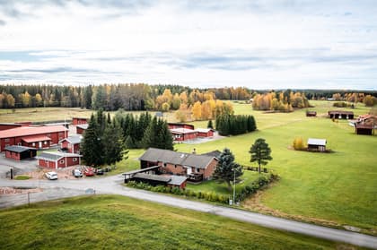 Bild av närområdet