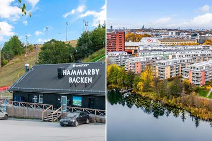 Bild av närområdet