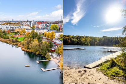 Bild av närområdet