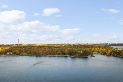 Bild av närområdet