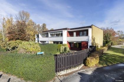 Senapsgången 8, Södervång