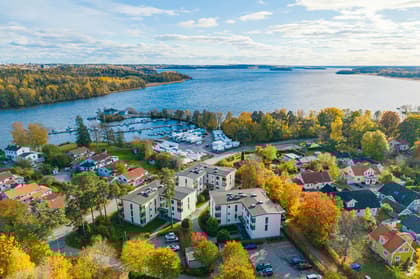 Bild av närområdet