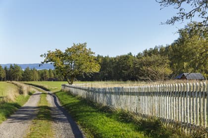 Bild av närområdet