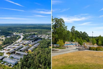 Bild av närområdet