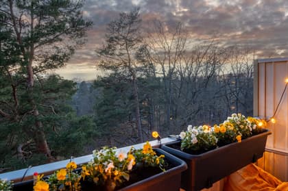 Balkong eller utsiktsbild