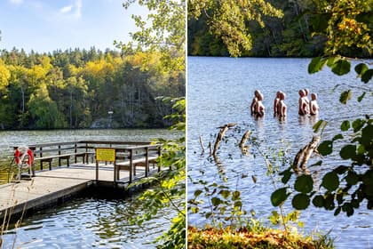 Bild av närområdet