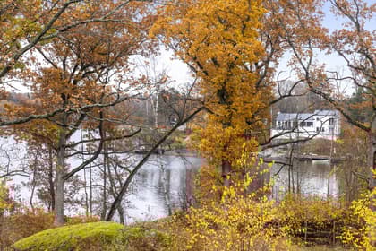 Bild av närområdet