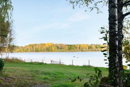 Bild av närområdet