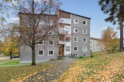 Örnstigen 3, Näsbypark