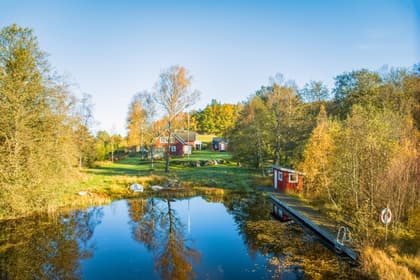 Bild av närområdet