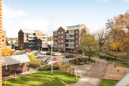 Bild av närområdet