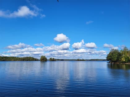 Bild av närområdet