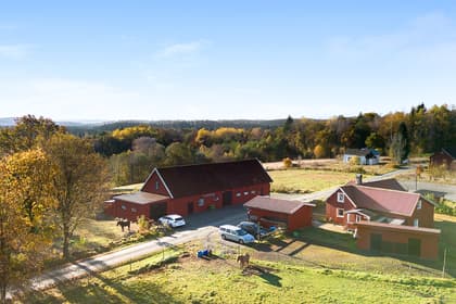 Bild av närområdet