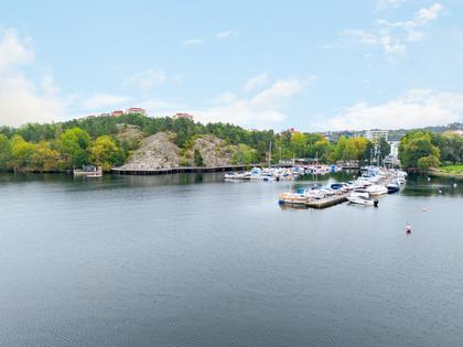 Bild av närområdet