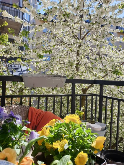 Balkong eller utsiktsbild