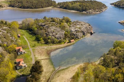 Bild av närområdet