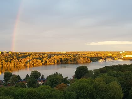 Bild av närområdet