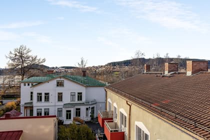 Bild av närområdet