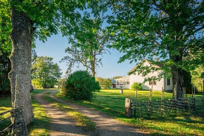 Bild av närområdet