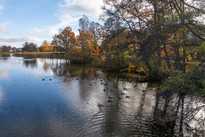 Bild av närområdet