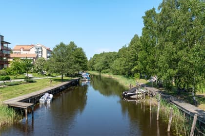 Bild av närområdet