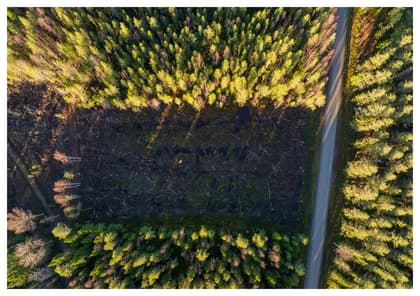 Illustrerad karta över fastigheten eller området