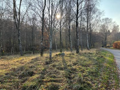 Brattenborgsvägen 2, Bjärehalvön