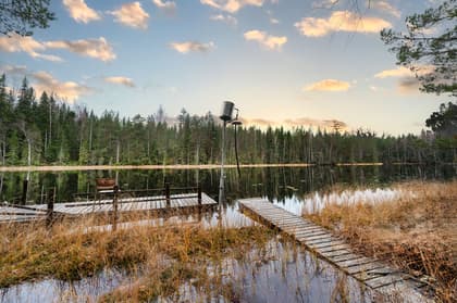 Bild av närområdet