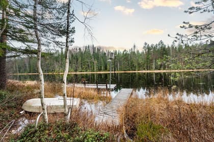 Bild av närområdet