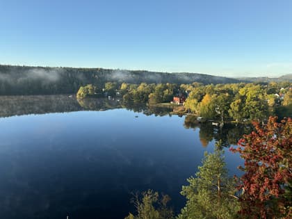Bild av närområdet