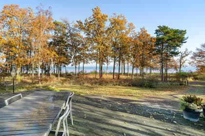 Bild av närområdet