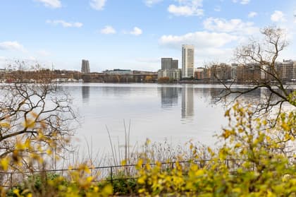 Bild av närområdet