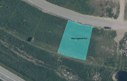 Illustrerad karta över fastigheten eller området