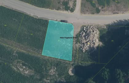 Illustrerad karta över fastigheten eller området