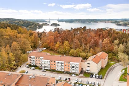 Bild av närområdet