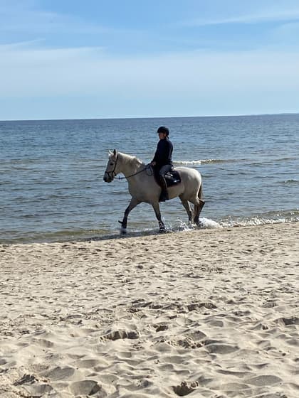 Bild av närområdet