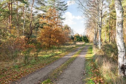 Hagestad 3:4, Sandhammaren