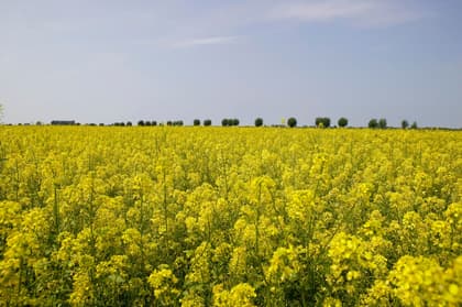 Del Av Norra Håslöv 18:11, Skåne