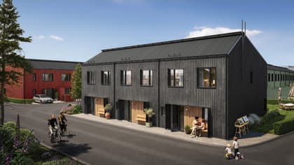 Albatross, Borstahusen