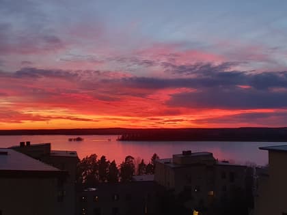 Bild av närområdet