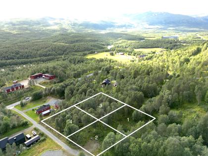 Bild av närområdet