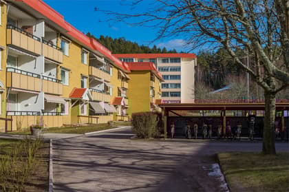 Bild av närområdet