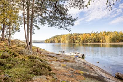 Bild av närområdet