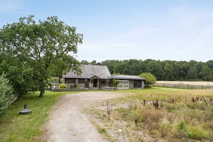 Bild av närområdet