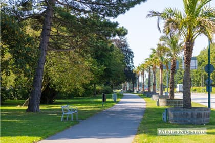 Bild av närområdet