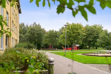 Bild av närområdet