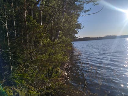 Bild av närområdet