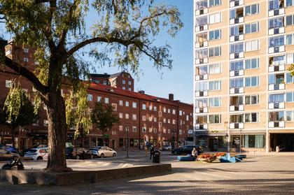 Bild av närområdet